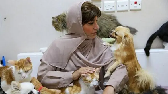 عجیب اما واقعی / مریم خانم زیباترین زن در جهان / این زن ماهیانه یک میلیارد و 300 میلیون تومان  برای   ۵۰۰ سگ و گربه در خانه اش هزینه می کند + عکس ها و گفتگو