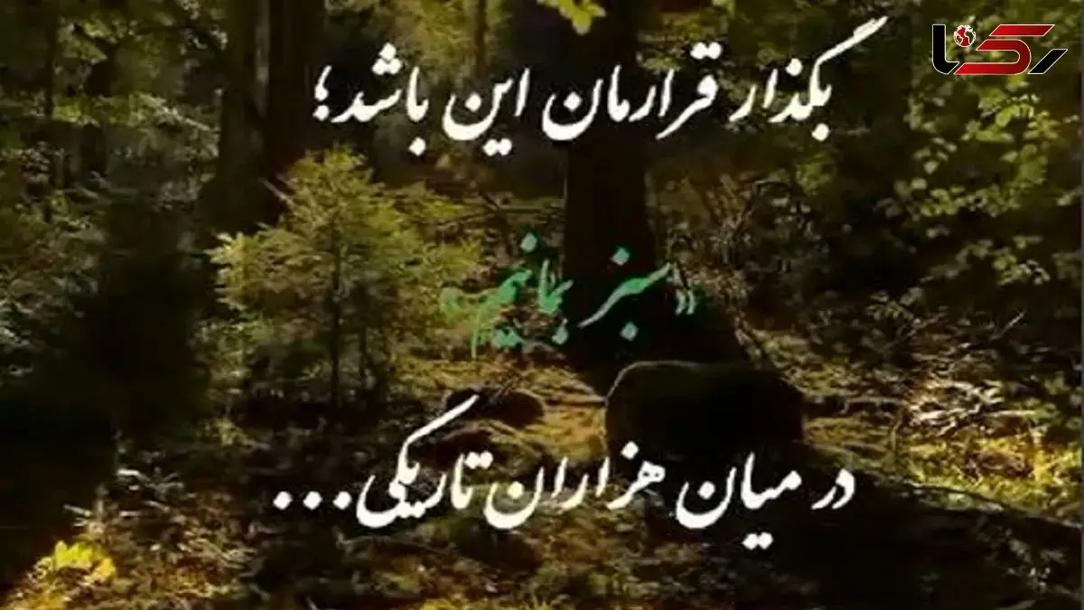 فیلم آواز احساسی؛ این آهنگ هر آدمی رو عاشق خودش میکنه؛ تا کی به تمنای وصل تو یگانه