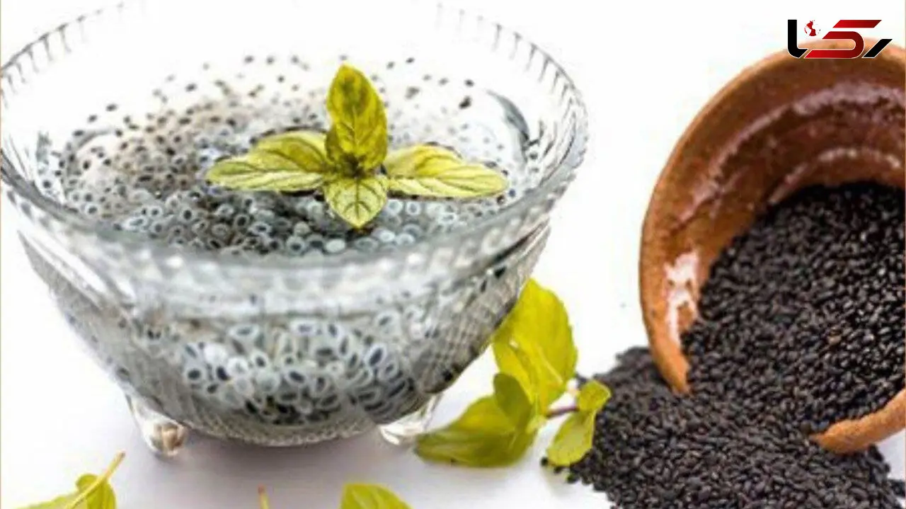 بهترین راه رفع تشنگی روزه داران در ماه مبارک رمضان 