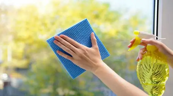 طرز تهیه شیشه پاک کن طبیعی در خانه/بدون هزینه کمک به اقتصاد خانواده کنید