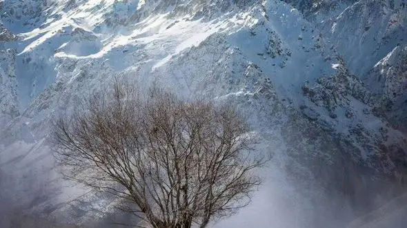 از آلپ ایران در فصل بهار و زمستان تا قلات شیراز