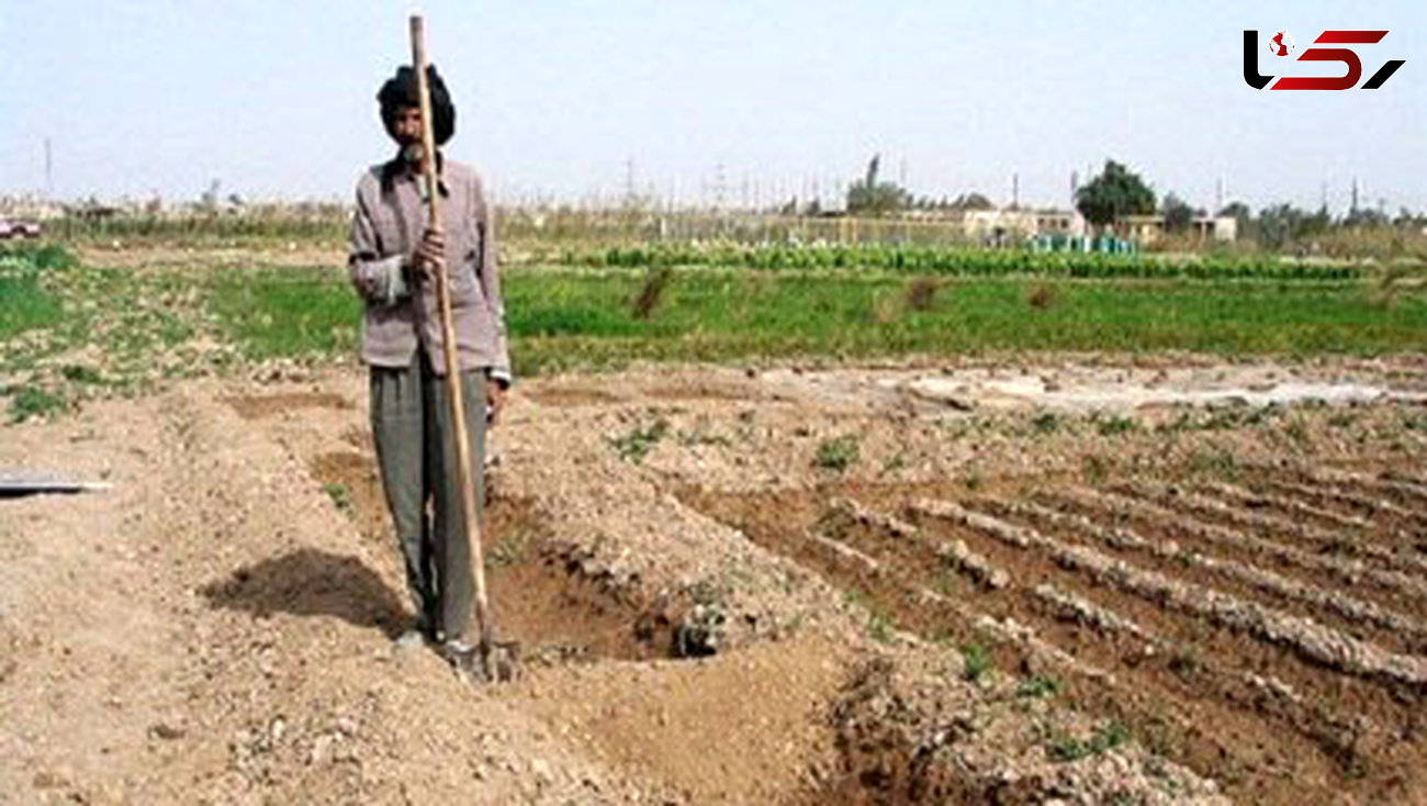 اثر بی آبی و خشکسالی بر مزارع در خوزستان