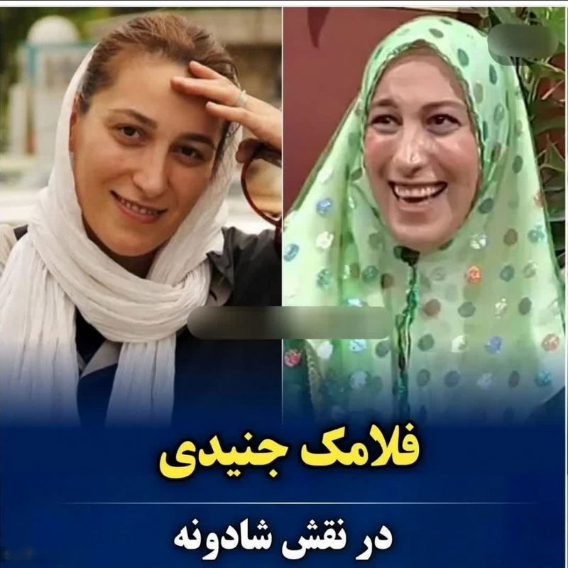فلامک جنیدی