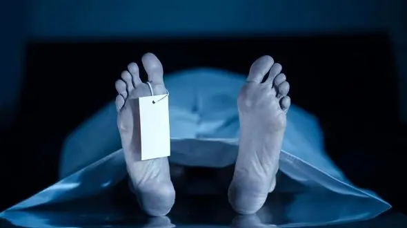 راز جنازه مرد تالشی برملا شد / کشف جنازه لا به لای درختان