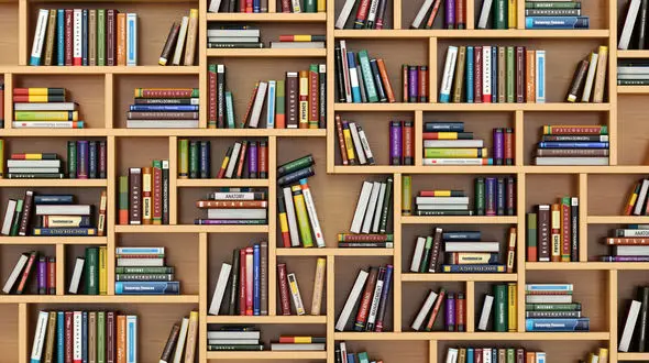 قدیمی ترین عکس به جا مانده از حاجی میرزا ابوطالب زنجانی