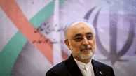 Iran to enrich 8 to 9 kg of 20% uranium monthly: AEOI chief
