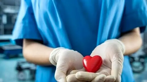 اهداکننده 14 ساله، قهرمان زندگی برای 6 بیمار نیازمند