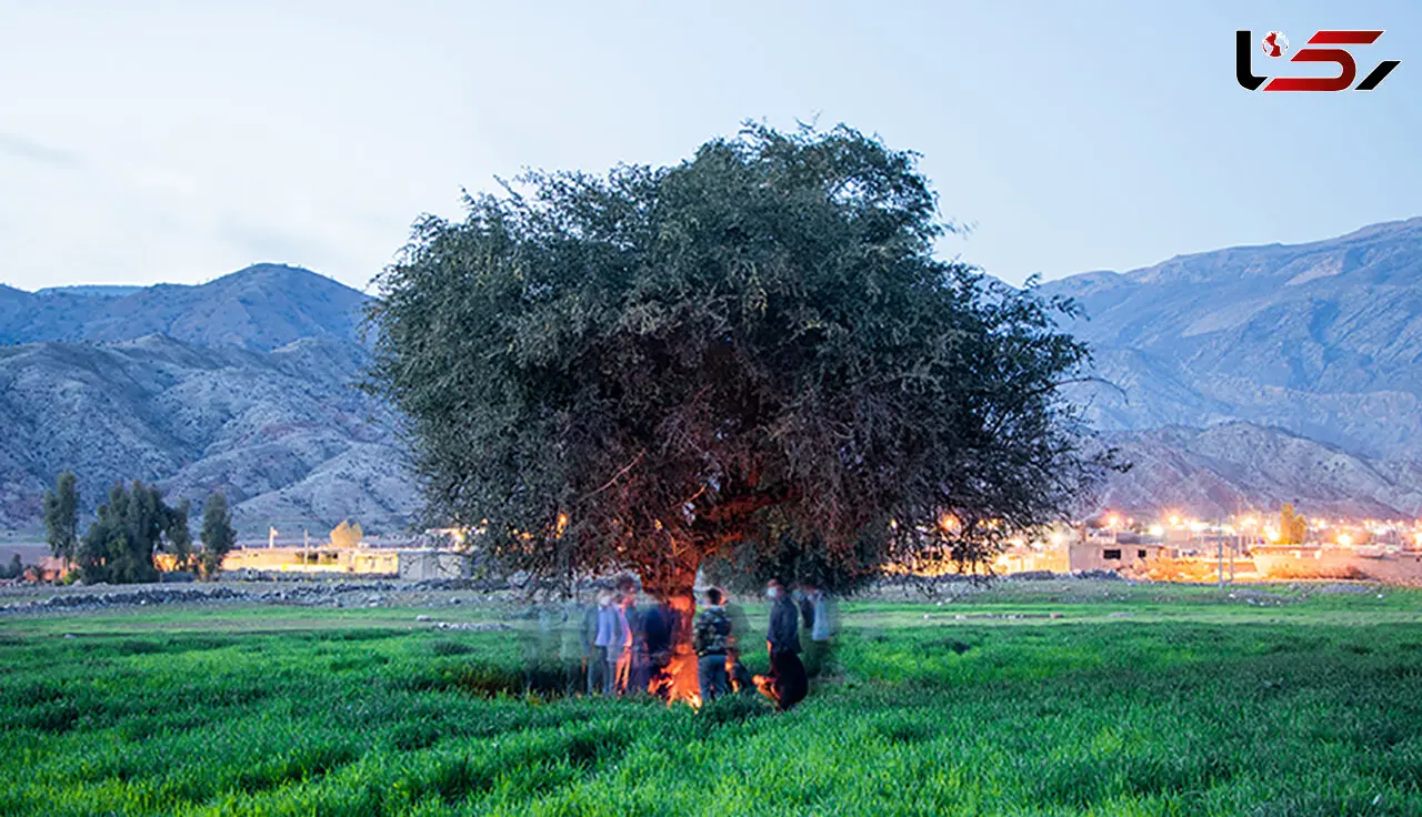 بورس این روستای ایران را نابود کرد + فیلم
