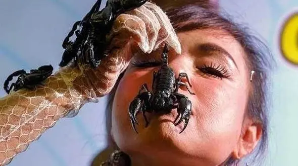  این دختر 23 روز با 5 هزار عقرب در یک شیشه زندگی کرد+تصاویر