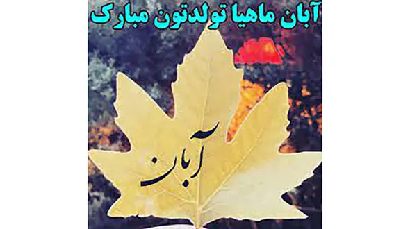 چند کلمه برای افرادی که امروز تولدشان است / فیلم