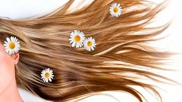 ارزان ترین راه برای پیشگیری از ریزش مو