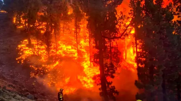 فیلم زیبا اما متاثرکننده از آتش سوزی جنگل های جزایر قناری / زیبایی آتش و آثار مخربش را ببینید