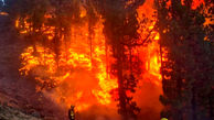 فیلم زیبا اما متاثرکننده از آتش سوزی جنگل های جزایر قناری / زیبایی آتش و آثار مخربش را ببینید