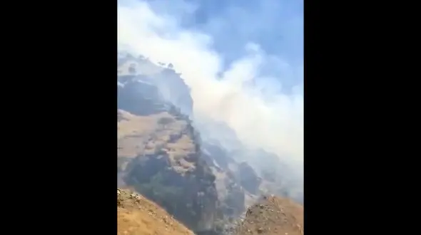 آتش در جنگل های “نانه ویژه” پاوه  + فیلم 