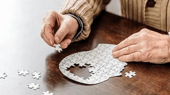 پیشگیری از آلزایمر با 4 آنتی‌ اکسیدان