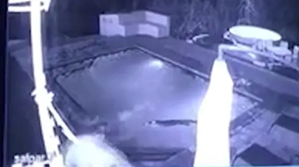 مرد زنش را با کروکودیل 2 متری در استخر تنها گذاشت و گریخت + فیلم و عکس