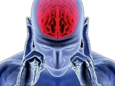 آیا مغز انسان تنها با 10 درصد ظرفیتش کار می‌ کند؟