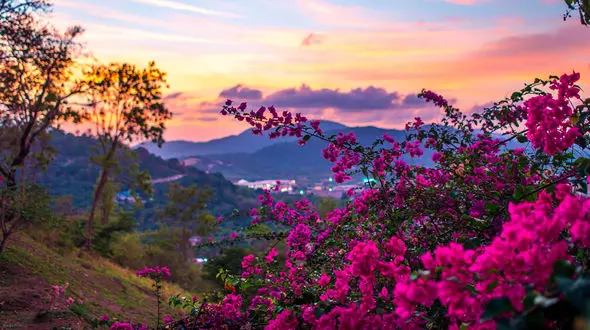 ببینید / نماهنگ بی کلام آرامش بخش  با تصاویر بهاری + فیلم 