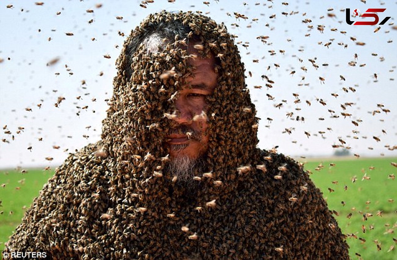 عکس های دیدنی از مرد زنبوری + جزییات