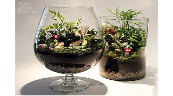 ایده‌هایی زیبا برای داشتن یک باغ مینیاتوری