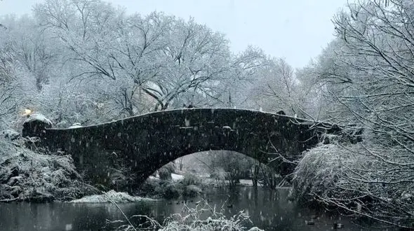 زیبایی برف در شب و روز
