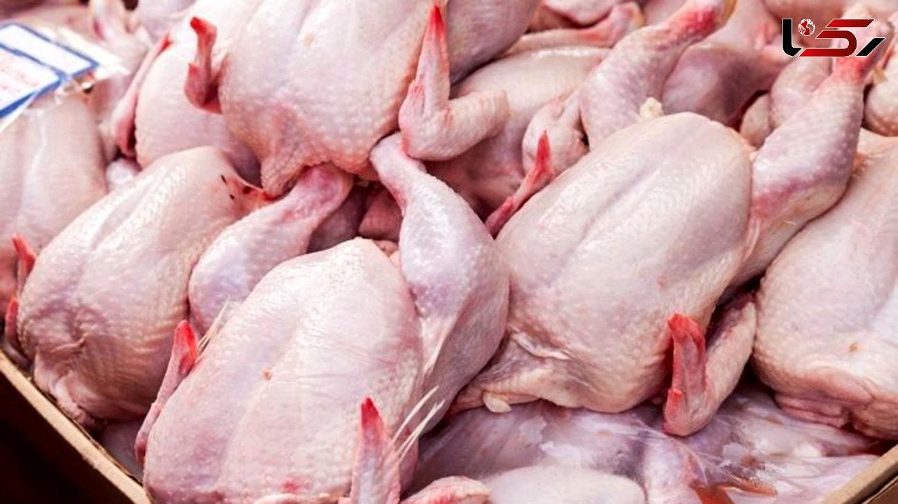 کشف 3 هزار قطعه مرغ قاچاق در صحنه/ دو نفر دستگیر شدند