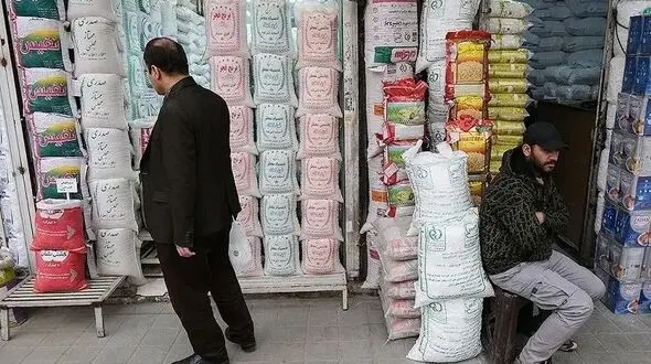 بحران برنج در راه است؟ نقش دلار در بازی قیمت ها
