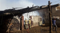 سوختن 100 بز در آتش دامداری / در مازندران رخ داد