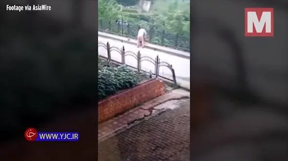رفتار غیرانسانی رفتگر با توله سگ در خیابان! +فیلم
