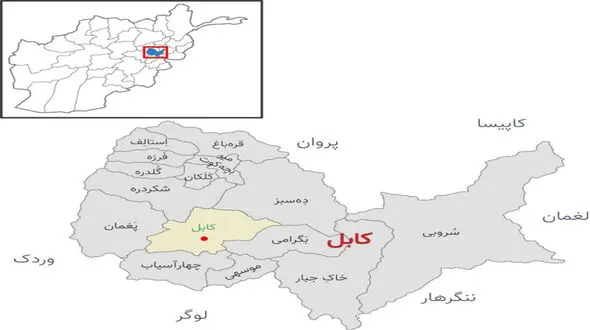 شیخ سردار والی ثاقب رئیس علمای سلفی کشته شد