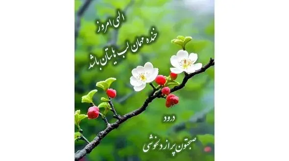 فال ابجد محشر 12 مرداد + فیلم