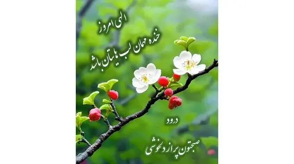 فال ابجد محشر 12 مرداد + فیلم