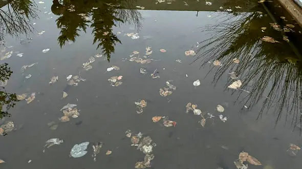 فال ابجد امروز / 17 بهمن + فیلم