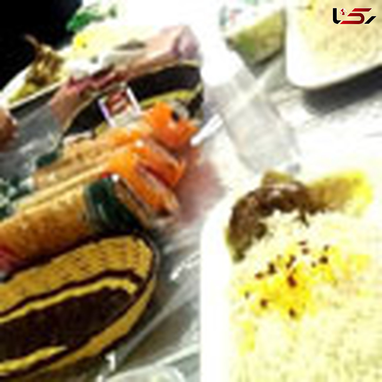 جشنواره خوراک ملل در برج میلاد برگزار می شود 