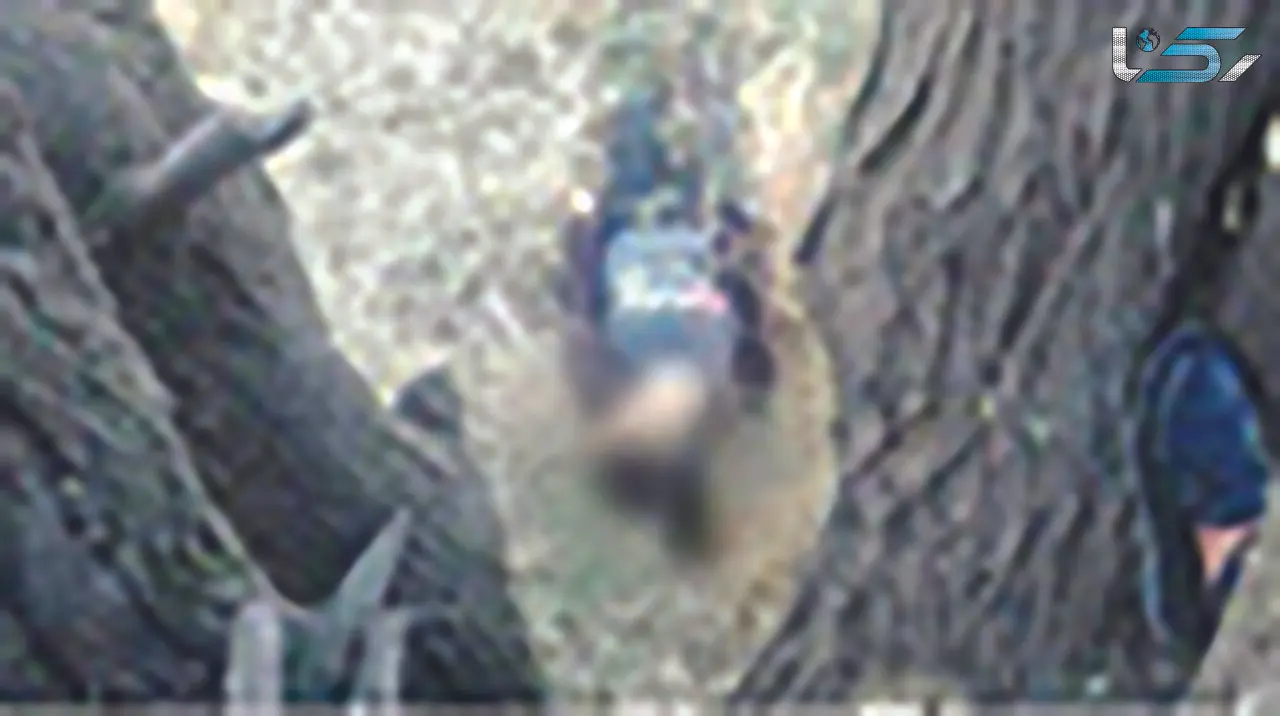 مرگ مرموز دختر ۱۵ ساله با روسری! 