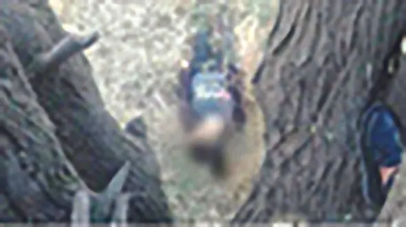 مرگ مرموز دختر ۱۵ ساله با روسری! 