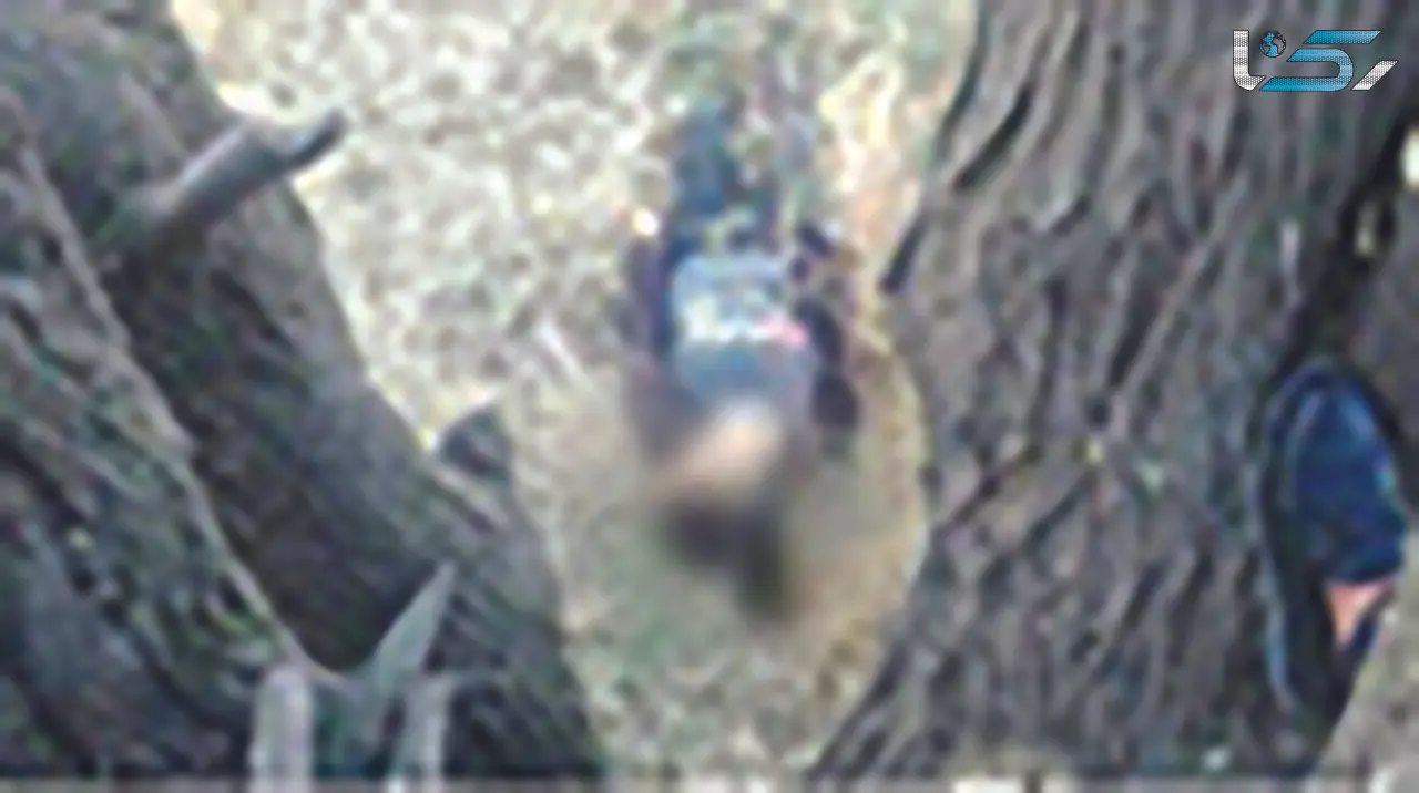 مرگ مرموز دختر ۱۵ ساله با روسری! 