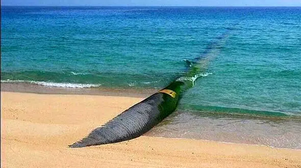 فاز نخست پروژه انتقال آب دریای عمان به اصفهان رسید