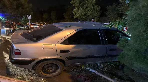 تصادف هولناک زانتیا با درخت در کرج / همه شوکه شدند + عکس