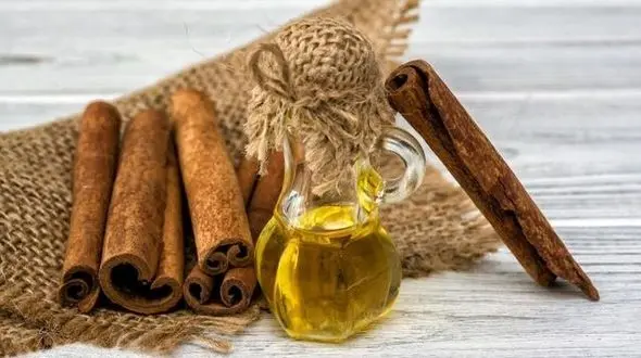 روغن دارچین در رفع مشکلات پوستی معجزه می کند+دستور تهیه