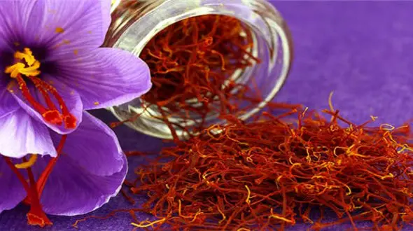 زعفران ارزان شد