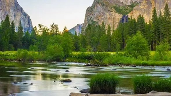 چهره های آرامش طبیعت