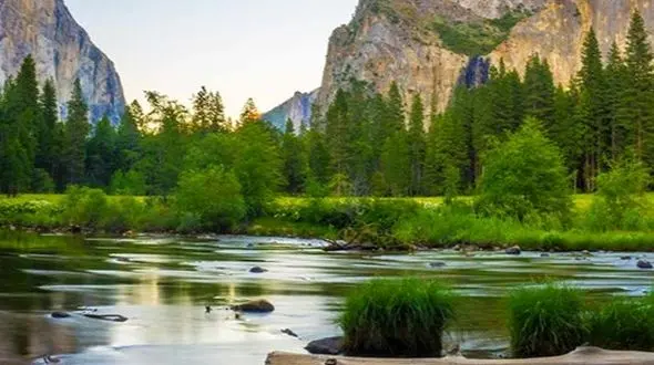 چهره های آرامش طبیعت