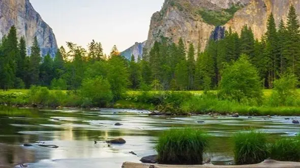 چهره های آرامش طبیعت