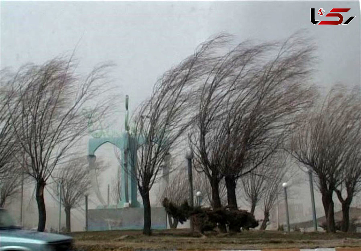 خسارت از باد در همدان 