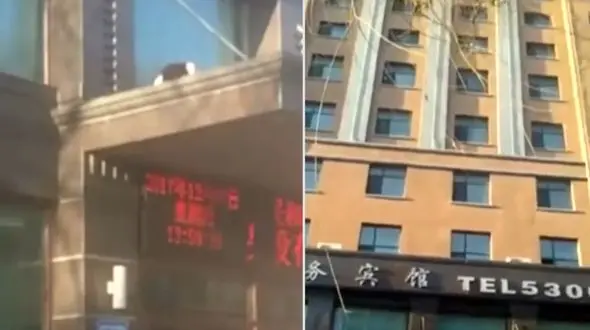 زنده ماندن زن جوان پس از 2 بار سقوط از هتل 9 طبقه! +فیلم