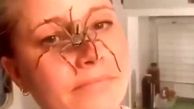 فیلم خزیدن عنکبوت عظیم الجثه روی صورت زن جوان