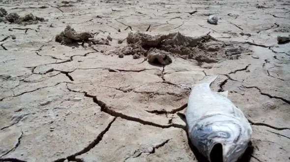 حمله مرگبار خشکسالی/ روزهای دردناکی در راه است 