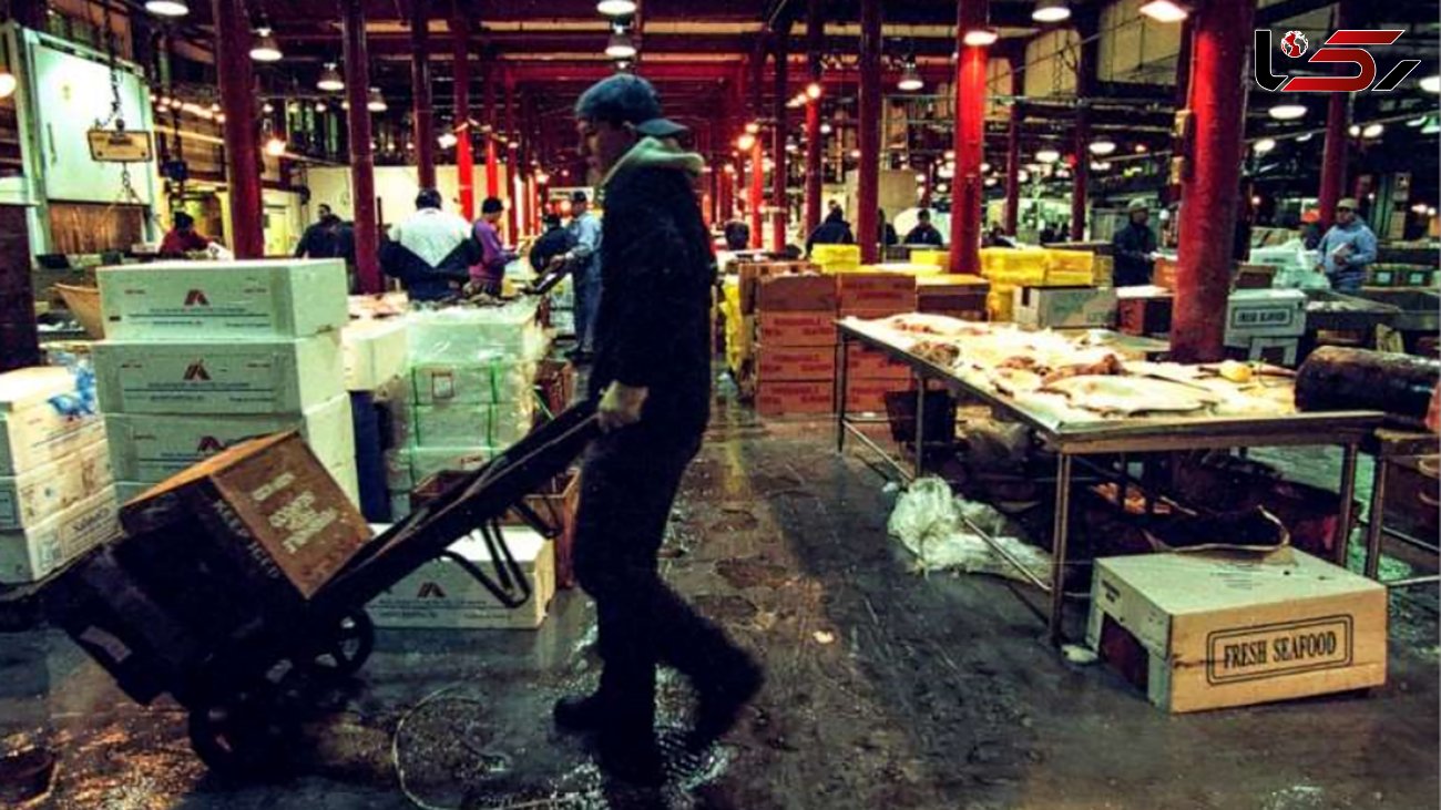 کشف جسد پسر 14 ساله در انبار بازار ماهی فروش ها + عکس