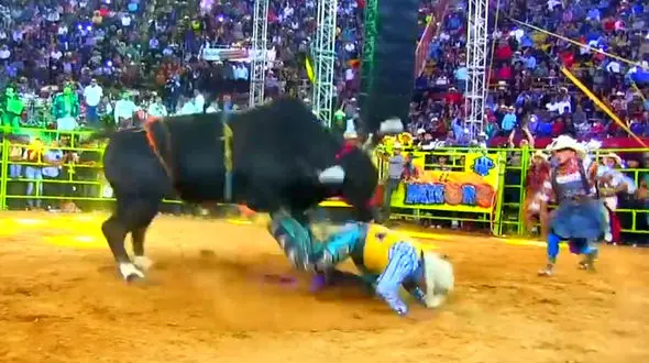 انتقام سخت و وحشتناک گاو وحشی از گاوبازها در میدان مسابقه + فیلم